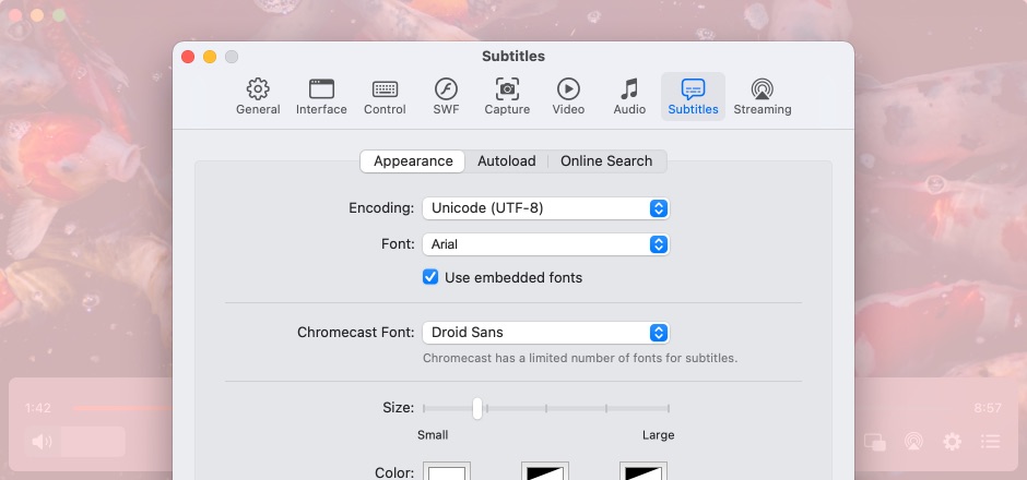 Configuración de subtítulos.